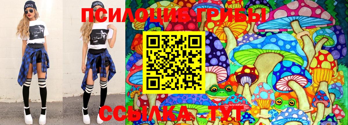 Псилоцибиновые грибы Psilocybine cubensis Абинск