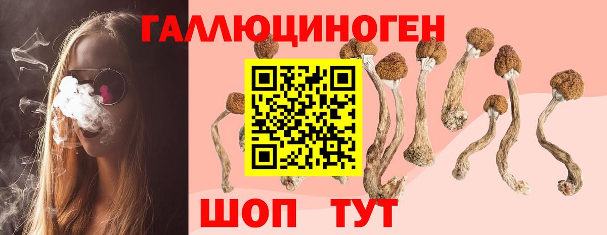 купить закладку  Галлюциногенные грибы MAGIC MUSHROOMS  Вход с VPN  Галлюциногенные грибы Cubensis  Абинск 